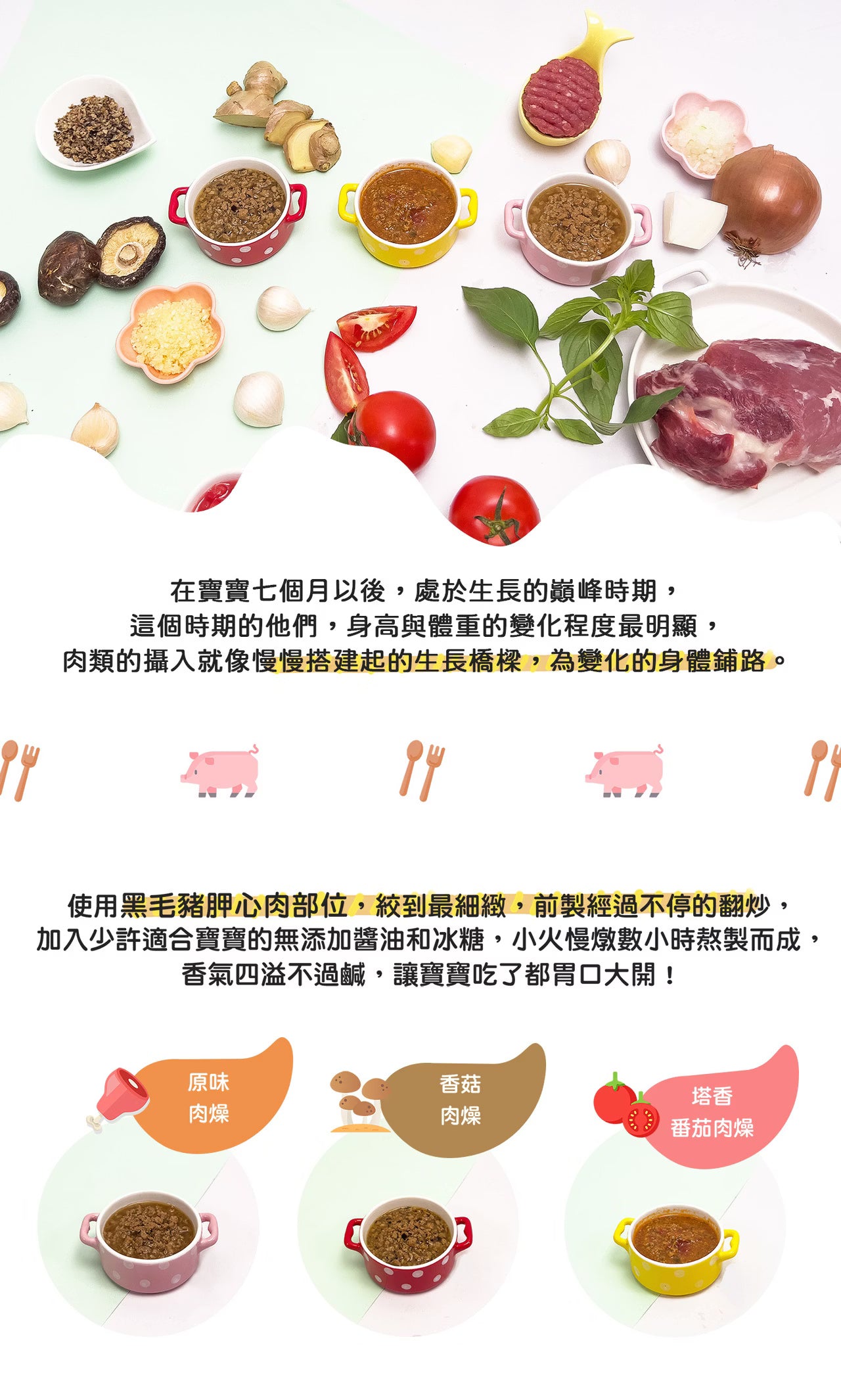 10m+ 原味肉燥